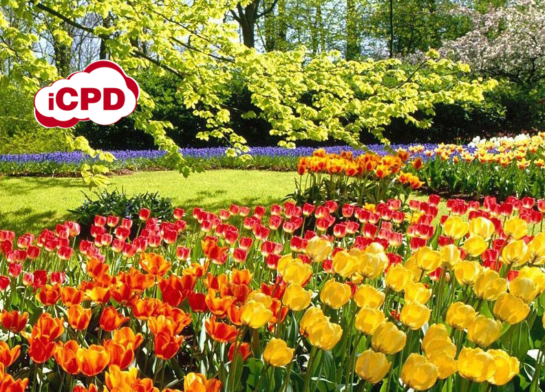 2025 Spring Savings